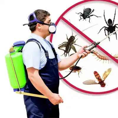 pest control Delano